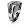 Anillo Dextera de forma octogonal, talla redonda, negro, chapado en rutenio Anillo Dextera de forma octogonal, talla redonda, negro, chapado en rutenio