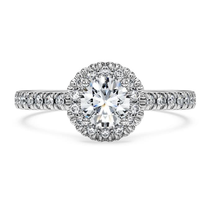 Anillo solitario Eternity Halo con diamantes cultivados en laboratorio, 0,8 ct en total, forma redonda, oro blanco de 14K Anillo solitario Eternity Halo con diamantes cultivados en laboratorio, 0,8 ct en total, forma redonda, oro blanco de 14K