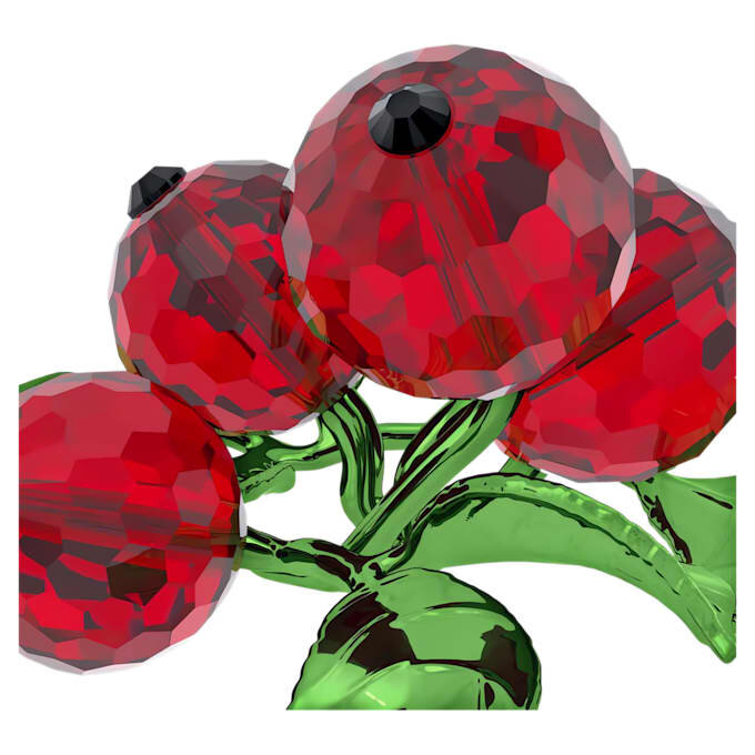 Bayas rojas Idyllia Bayas rojas Idyllia