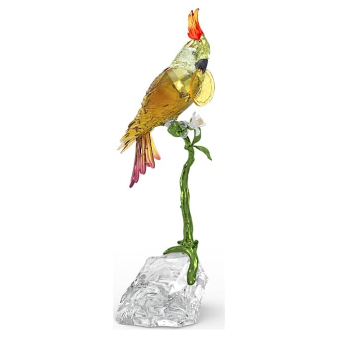 Cacatúa Idyllia Cacatúa Idyllia