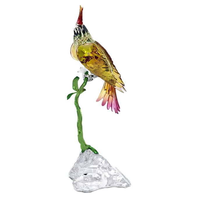 Cacatúa Idyllia Cacatúa Idyllia