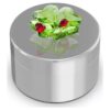 Caja decorativa «Idyllia» con trébol y mariquita Caja decorativa «Idyllia» con trébol y mariquita