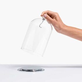 Campana de cristal grande