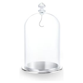 Campana de cristal grande
