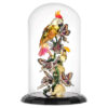 Campana de cristal «Idyllia Birds and Butterflies» Campana de cristal «Idyllia Birds and Butterflies»