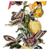 Campana de cristal «Idyllia Birds and Butterflies» Campana de cristal «Idyllia Birds and Butterflies»