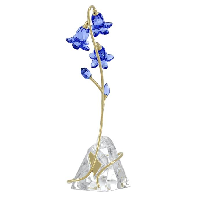 Campanilla azul de Florere Campanilla azul de Florere
