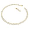 Collar Una Angelic, corte redondo, blanco, chapado en tono dorado Collar Una Angelic, corte redondo, blanco, chapado en tono dorado