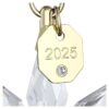 Conjunto de adornos 3D de la edición anual 2025 Conjunto de adornos 3D de la edición anual 2025
