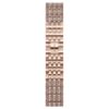 Correa Princess para Apple Watch® de 40 mm y 41 mm, tono oro rosa, acabado en tono oro rosa Correa Princess para Apple Watch® de 40 mm y 41 mm, tono oro rosa, acabado en tono oro rosa