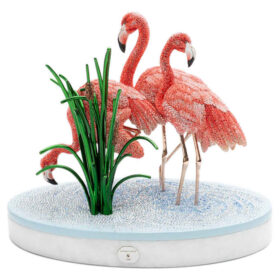 Flamencos «Crystal Myriad»