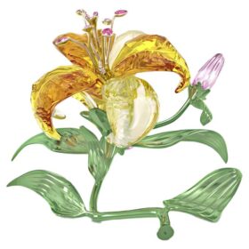 Florere Lily Grande