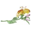 Florere Lily Grande