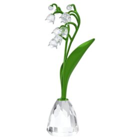 Florere Lirio del valle