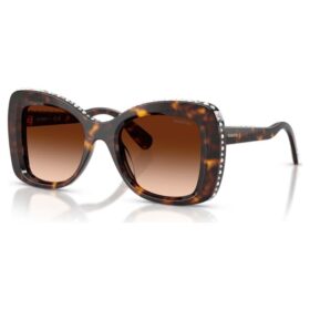 Gafas de sol con forma de mariposa, Sk6062U, marrón Gafas de sol con forma de mariposa, Sk6062U, marrón