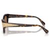 Gafas de sol con forma de ojo de gato, Sk6029, marrón Gafas de sol con forma de ojo de gato, Sk6029, marrón