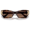 Gafas de sol con forma de ojo de gato, Sk6029, marrón Gafas de sol con forma de ojo de gato, Sk6029, marrón