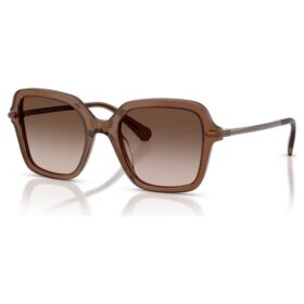Gafas de sol de forma cuadrada, marrones