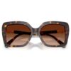 Gafas de sol de forma cuadrada, Sk6049, marrón Gafas de sol de forma cuadrada, Sk6049, marrón