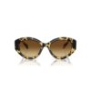 Gafas de sol de forma «ojo de gato», Sk6008, marrón Gafas de sol de forma «ojo de gato», Sk6008, marrón