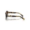 Gafas de sol de forma «ojo de gato», Sk6008, marrón Gafas de sol de forma «ojo de gato», Sk6008, marrón