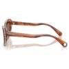 Gafas de sol de forma «ojo de gato», Sk6061U, marrón Gafas de sol de forma «ojo de gato», Sk6061U, marrón
