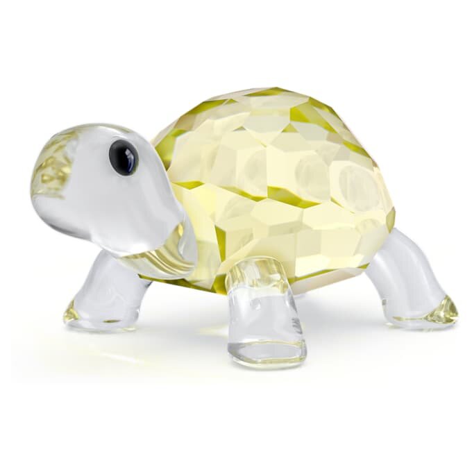 Idyllia, la tortuga bebé Idyllia, la tortuga bebé
