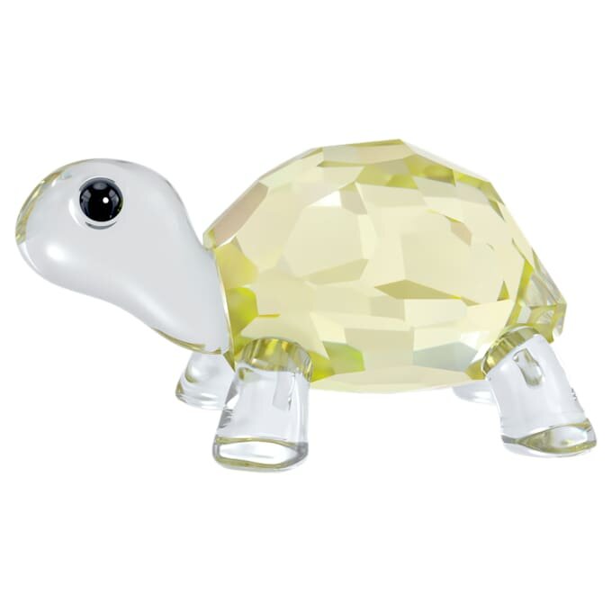 Idyllia, la tortuga bebé Idyllia, la tortuga bebé