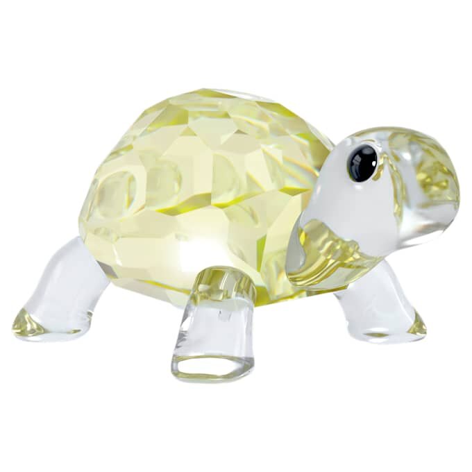 Idyllia, la tortuga bebé Idyllia, la tortuga bebé