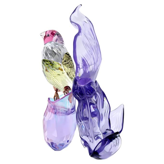 Idyllia: pinzón de Gould y orquídea Idyllia: pinzón de Gould y orquídea