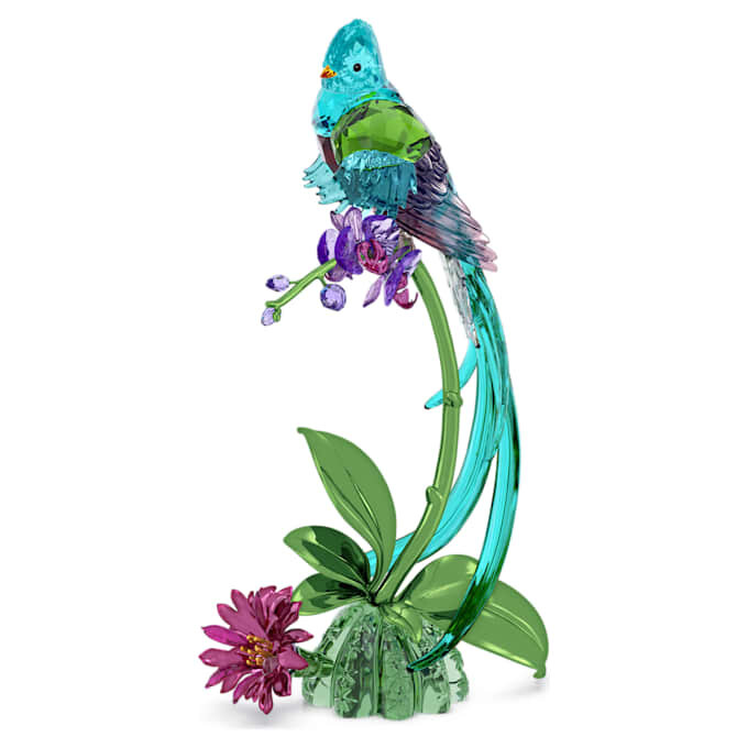 Idyllia Quetzal y Orquídea Idyllia Quetzal y Orquídea
