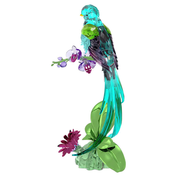 Idyllia Quetzal y Orquídea Idyllia Quetzal y Orquídea