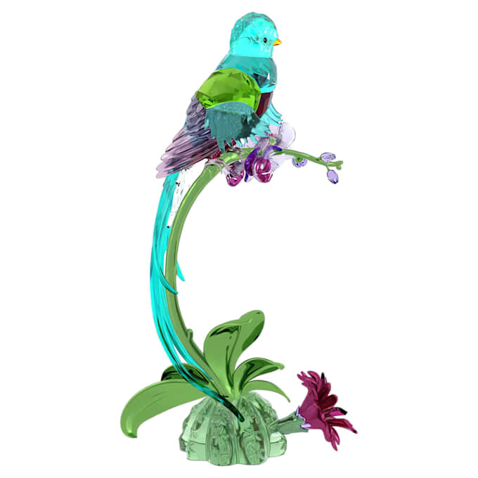 Idyllia Quetzal y Orquídea Idyllia Quetzal y Orquídea