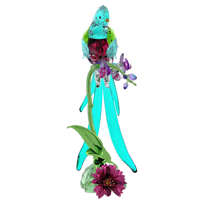 Idyllia Quetzal y Orquídea Idyllia Quetzal y Orquídea