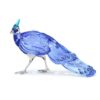 Idyllia SCS Pavo real-faisán de Palawan Idyllia SCS Pavo real-faisán de Palawan