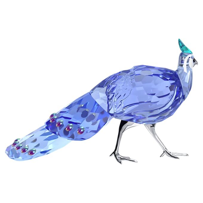 Idyllia SCS Pavo real-faisán de Palawan Idyllia SCS Pavo real-faisán de Palawan