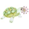 Idyllia: Tortuga y margarita