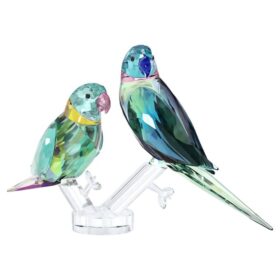 Jungle Beats: Pareja de periquitos «Fife & Fifer»