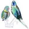 Jungle Beats: Pareja de periquitos «Fife & Fifer» Jungle Beats: Pareja de periquitos «Fife & Fifer»