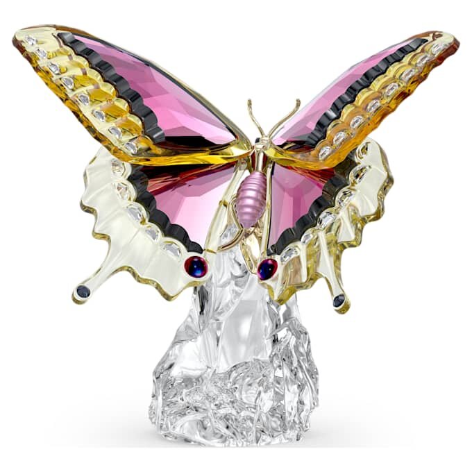 Mariposa Idyllia Mariposa Idyllia
