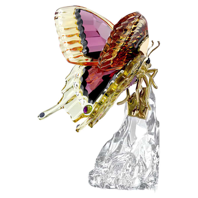 Mariposa Idyllia Mariposa Idyllia