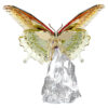 Mariposa Idyllia Mariposa Idyllia