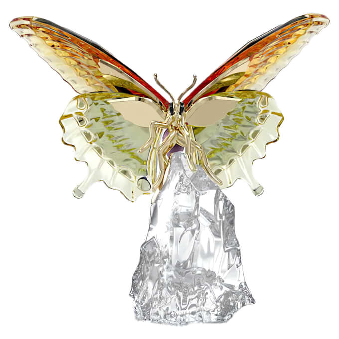 Mariposa Idyllia Mariposa Idyllia
