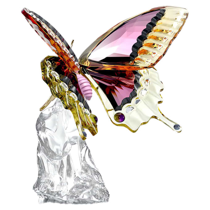 Mariposa Idyllia Mariposa Idyllia