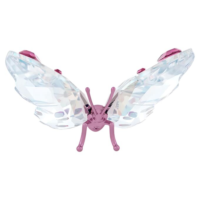 Mariposa Idyllia pequeña Mariposa Idyllia pequeña