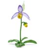 Orquídea zapatito de dama Florere Orquídea zapatito de dama Florere
