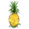 Piña Idyllia Piña Idyllia