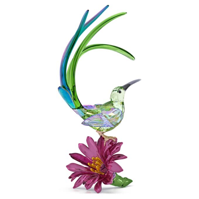 Pájaro azucarero y flor de cactus de Idyllia Pájaro azucarero y flor de cactus de Idyllia