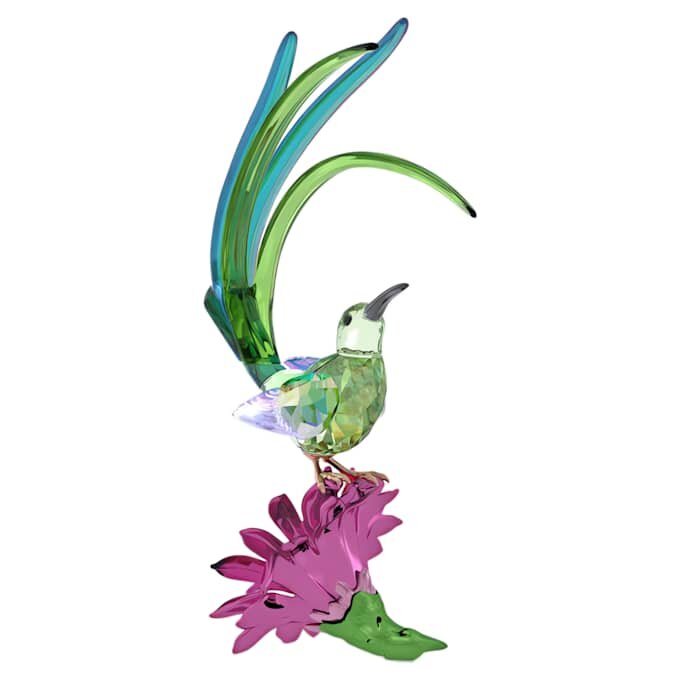 Pájaro azucarero y flor de cactus de Idyllia Pájaro azucarero y flor de cactus de Idyllia