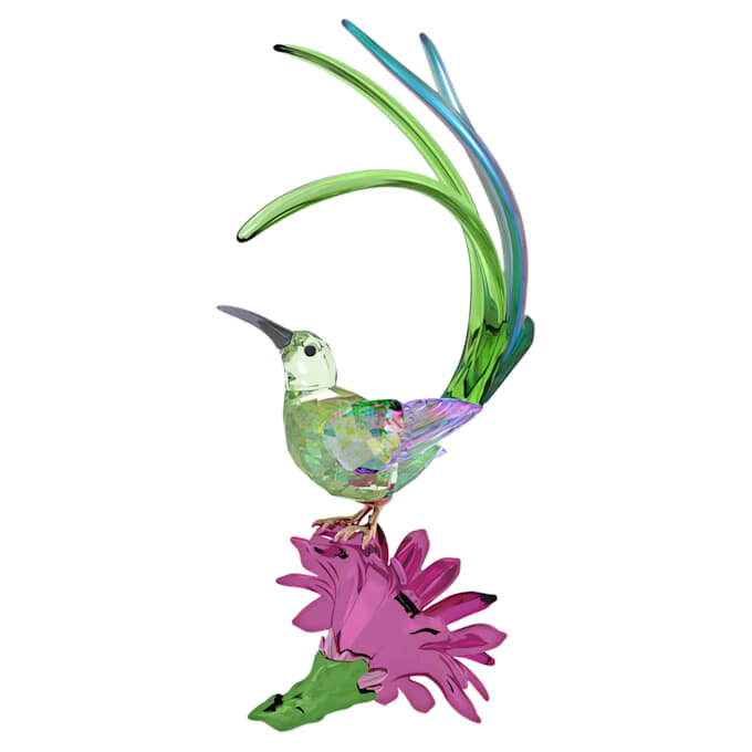 Pájaro azucarero y flor de cactus de Idyllia Pájaro azucarero y flor de cactus de Idyllia
